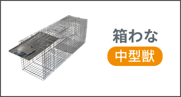 カテゴリー 箱わな中(アライグマ・ハクビシン・ネズミ等)