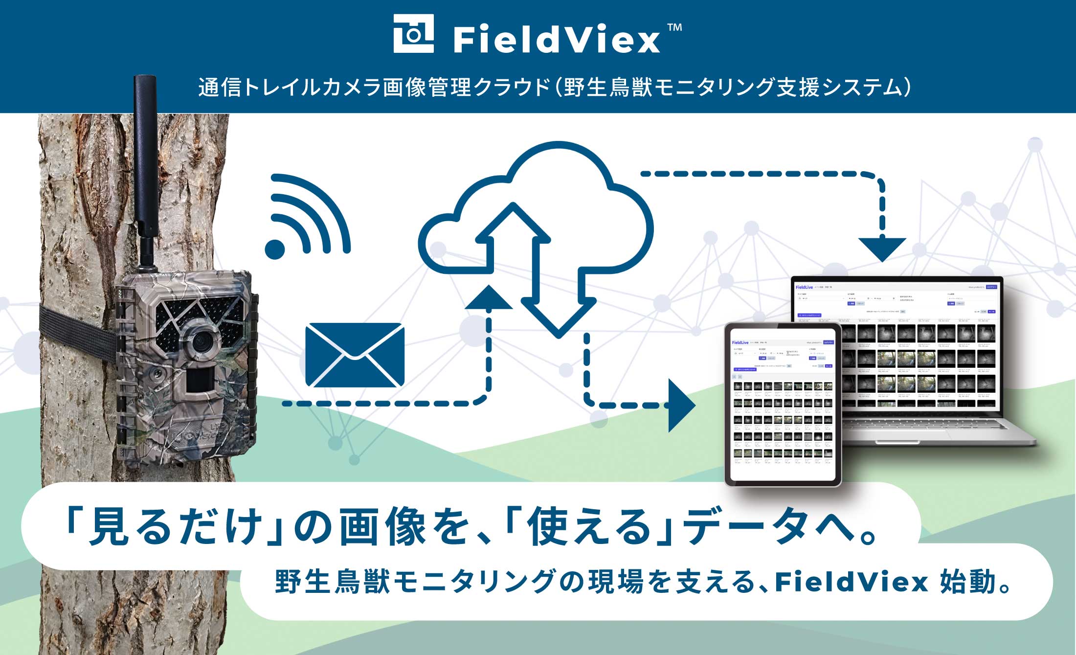 FieldViexについてトップ