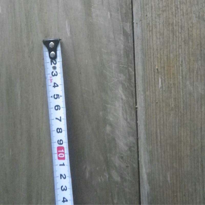 ハクビシンの足跡