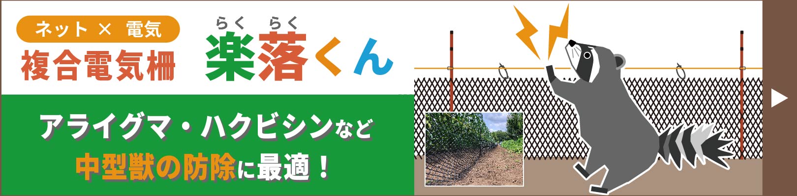 楽落くん