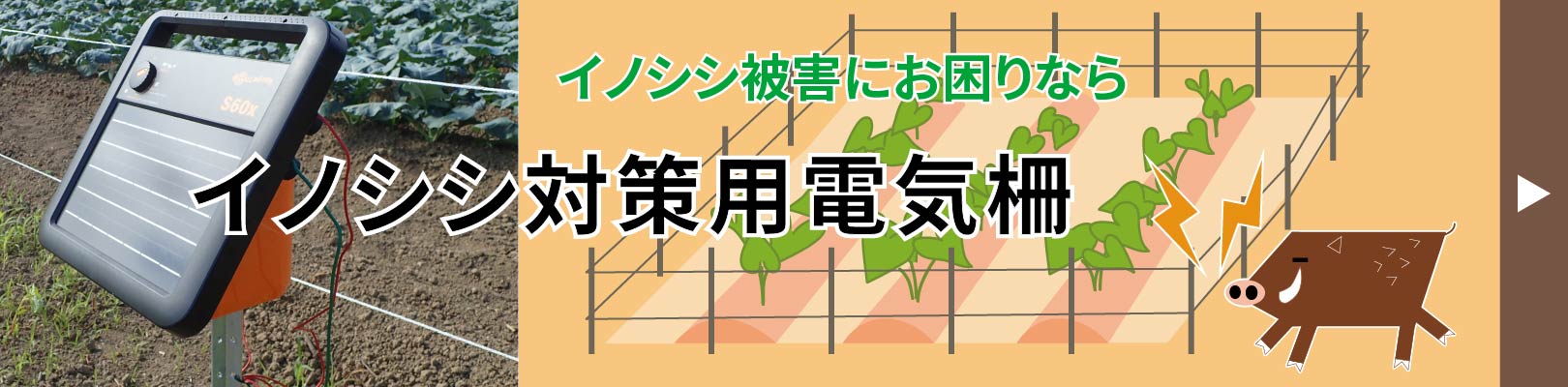 イノシシ対策用電気柵