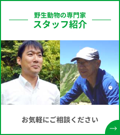 Sガイシ 鋼管支柱14～20mm用（100個入り） | 鳥獣被害対策ドットコム