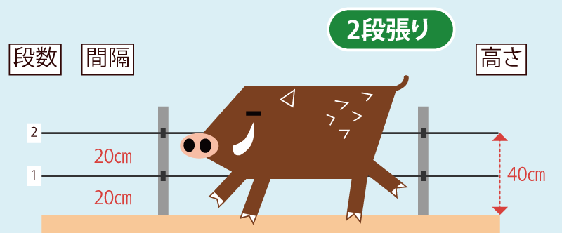 選び方イノシシ