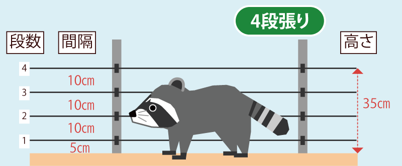 選び方中型獣（ハクビシン・アライグマ・アナグマなど）用