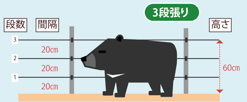 選び方クマ（ツキノワグマ）用