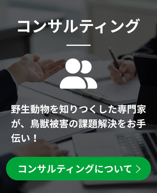 トップコンサルティングバナー