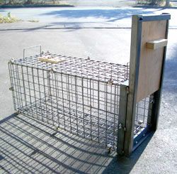 ハクビシン・アライグマ・ヌートリア捕獲用箱わな | 鳥獣被害対策