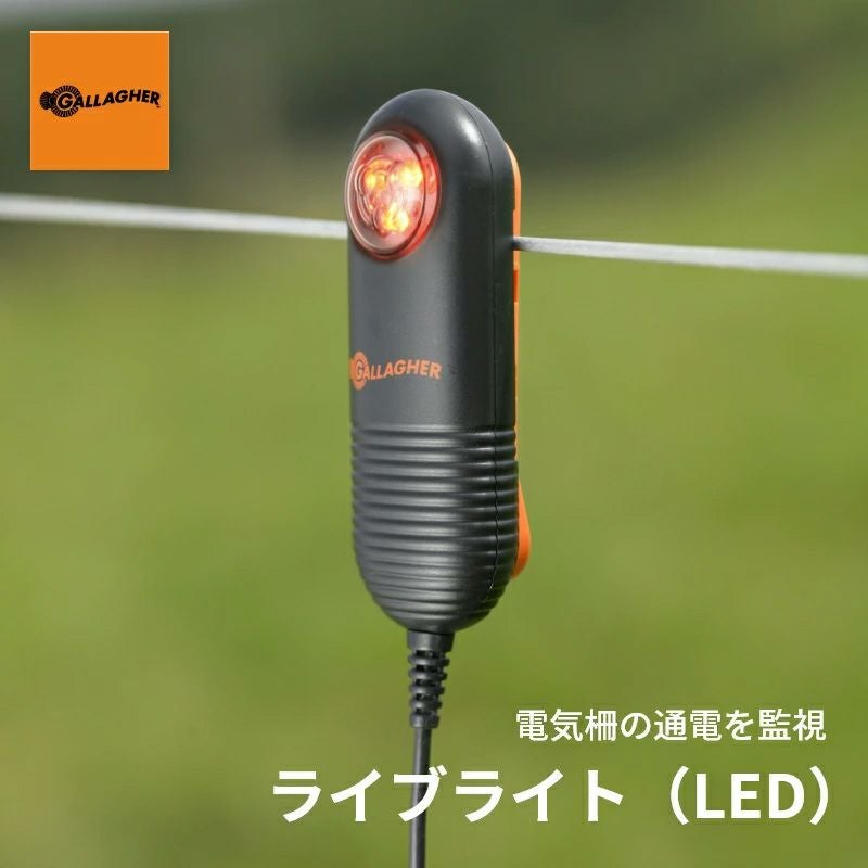 ライブライト(LED)