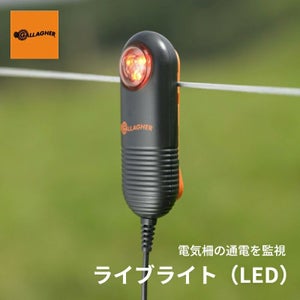 ライブライト(LED)