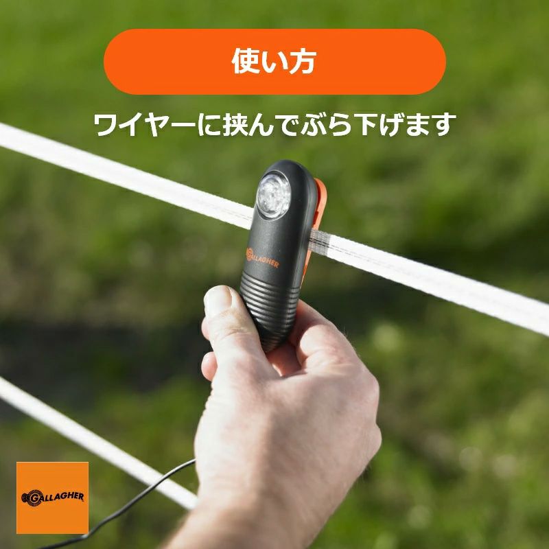 ライブライト(LED)