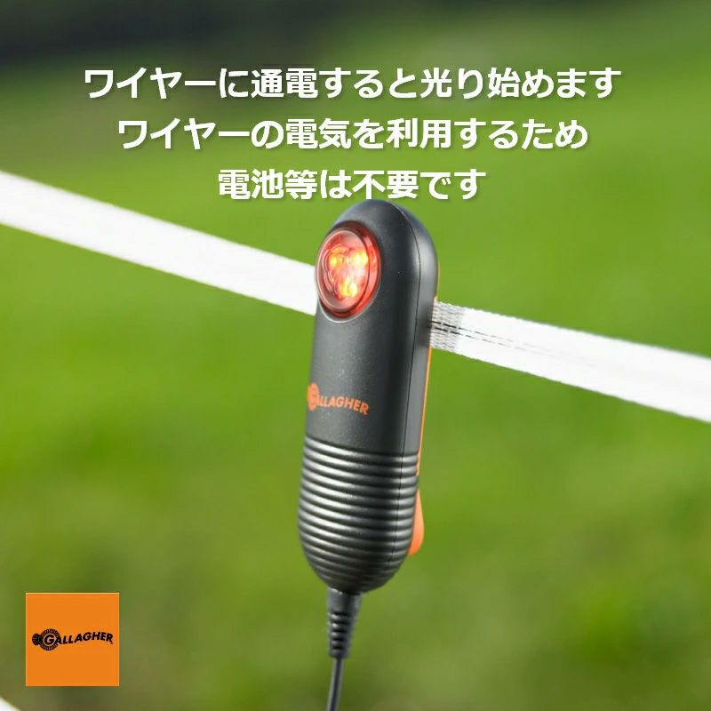 ライブライト(LED)