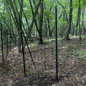 パタサク　門扉