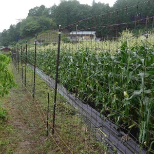 パタサク設置写真