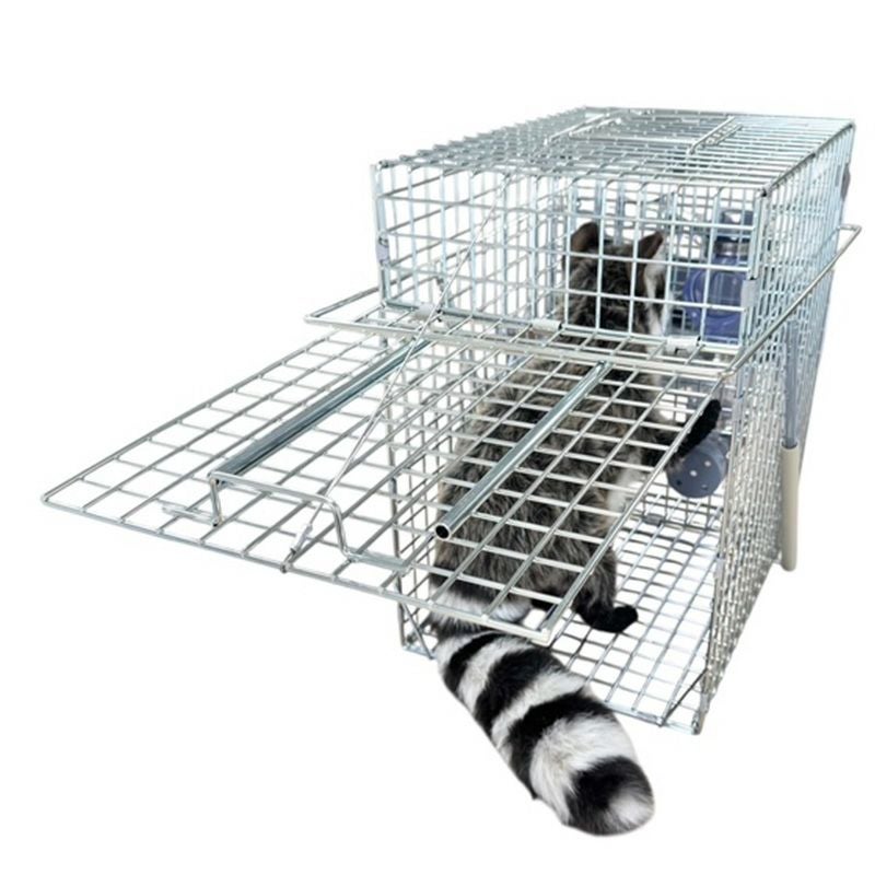 アライグマ専用箱わな：栄ヒルズU type Raccoon Cube ラクーンキューブ