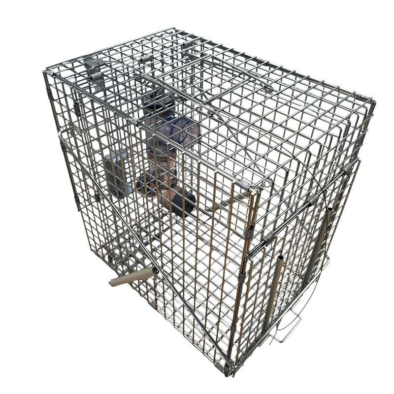 アライグマ専用箱わな：栄ヒルズU type Raccoon Cube ラクーンキューブ