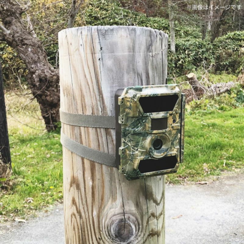 【広角レンズ搭載】WAMキャプチャー05 トレイルカメラ（センサーカメラ）