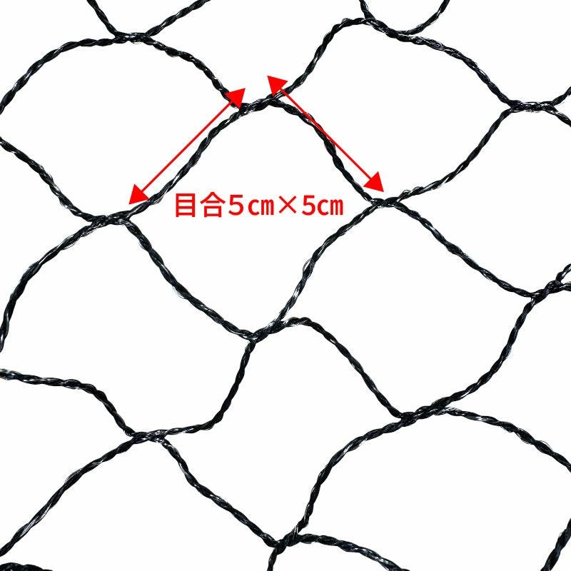 大型たも網 タモキング