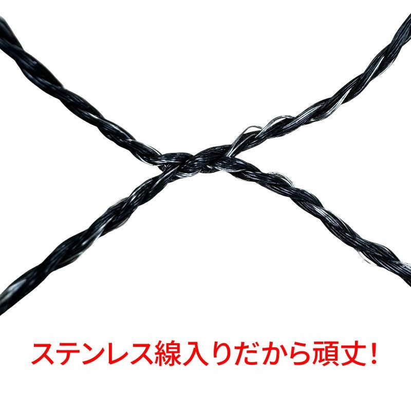 大型たも網 タモキング