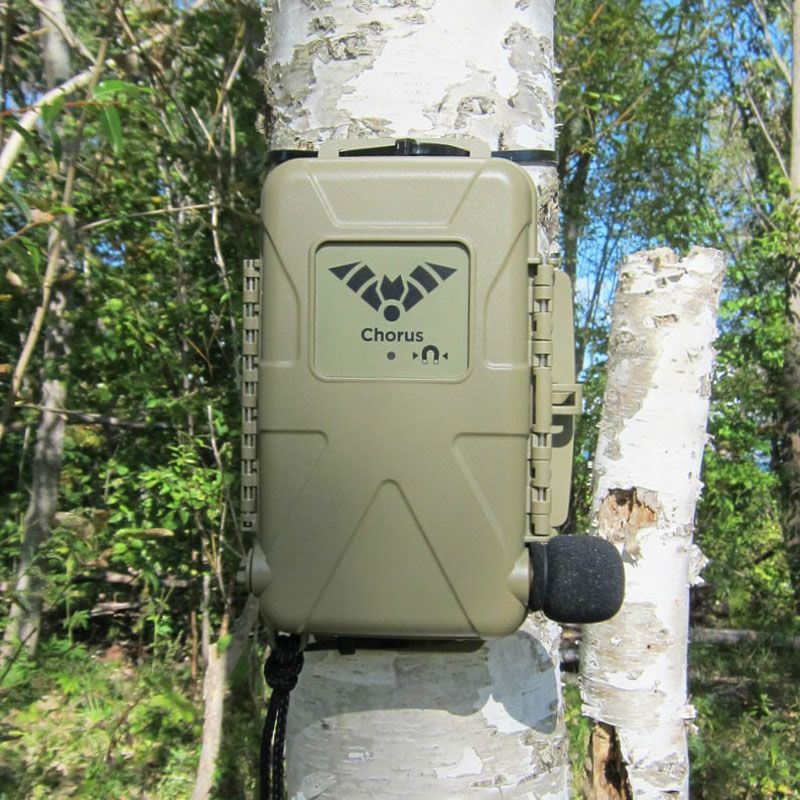 音響・超音波レコーダーChorus（コーラス）（音響マイク1つ付）