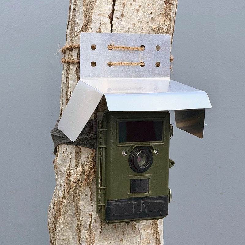 キツネ対策用トレイルカメラ（センサーカメラ） | 鳥獣被害対策ドットコム