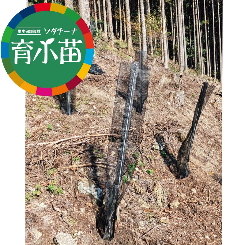 単木保護資材「育小苗（ソダチーナ）」